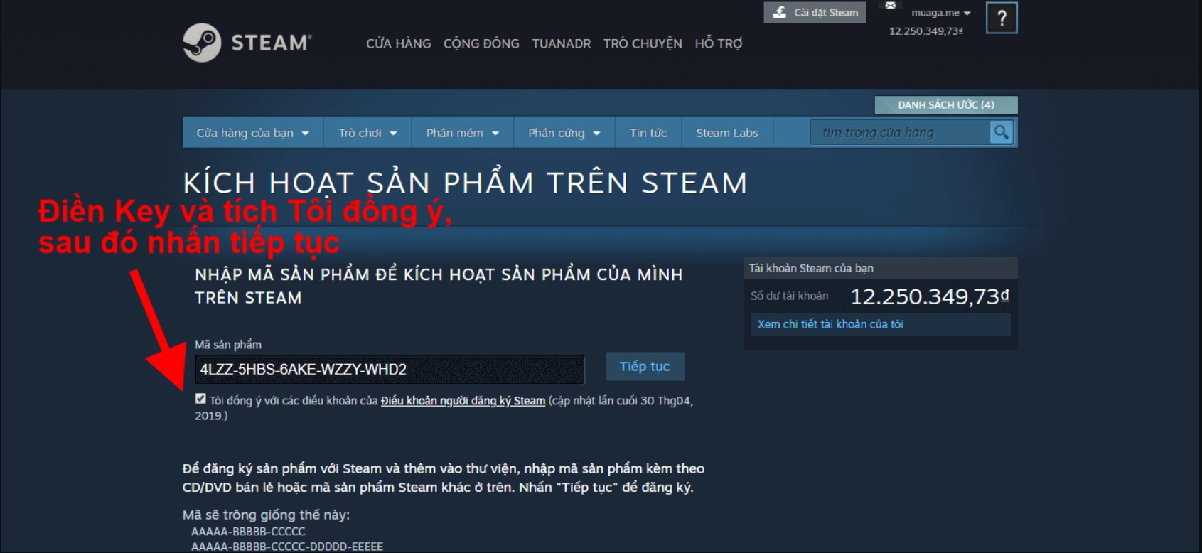 Random Premium Steam Key 1 hướng dẫn đổi key steam