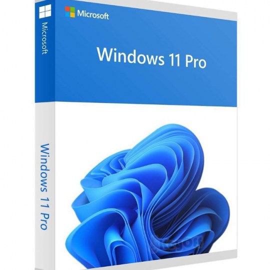 windows 11 pro bản quyền