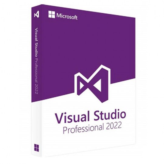 microsoft visual studio 2022 professional 1