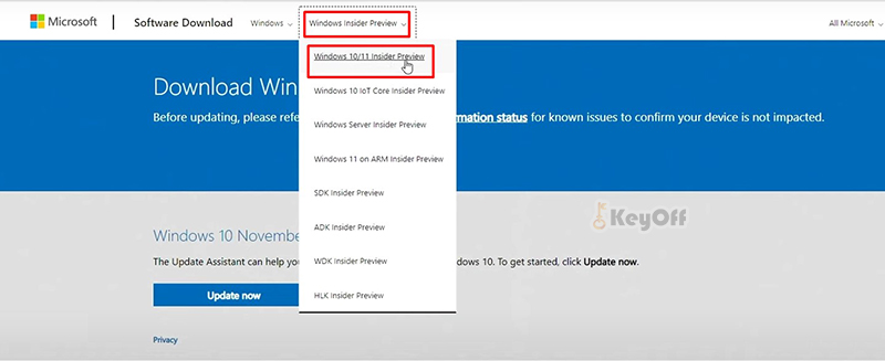 truy cập vào Windows Insider Preview để tải Windows 11 beta mới nhất