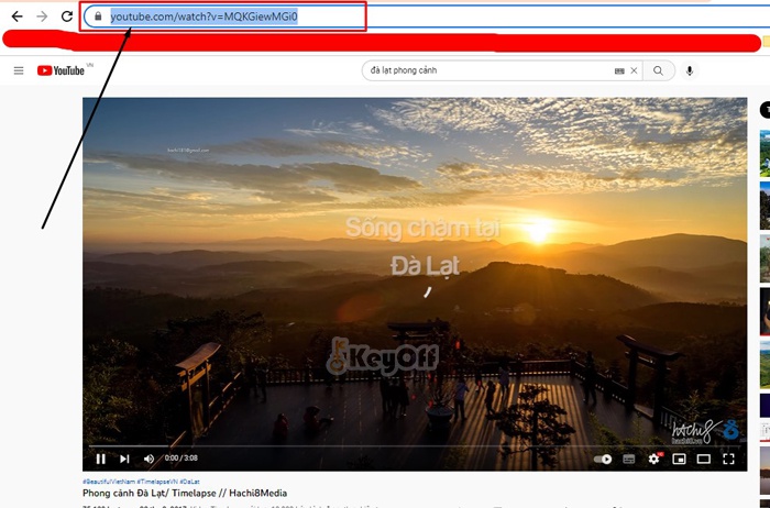 lấy link video từ youtube