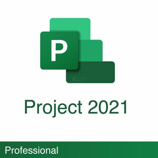Key Project 2021 Professional