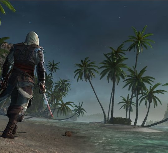 Assassins Creed IV 3