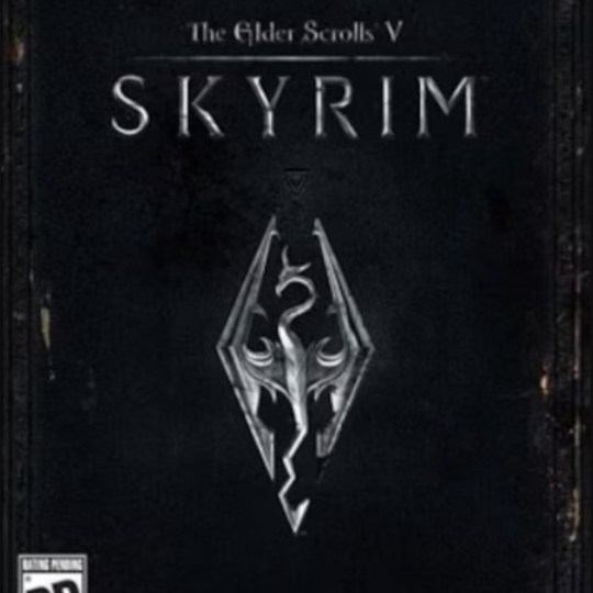The Elder Scrolls V Skyrim PC Steam Key GLOBAL 1