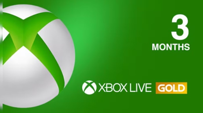 Xbox Live GOLD 2