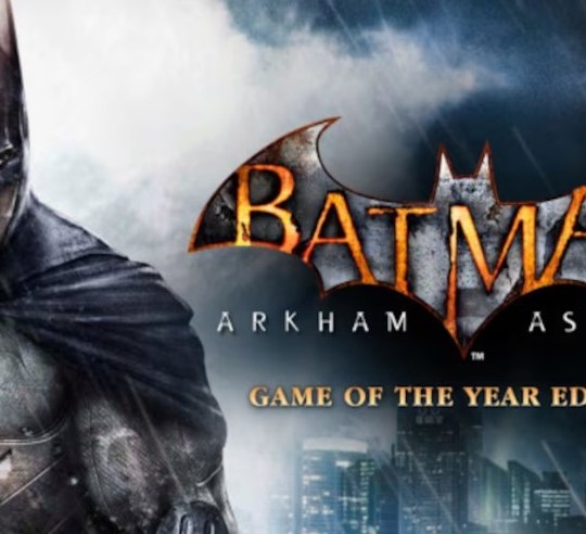 Batman Arkham Asylum GOTY PC Steam Key 2