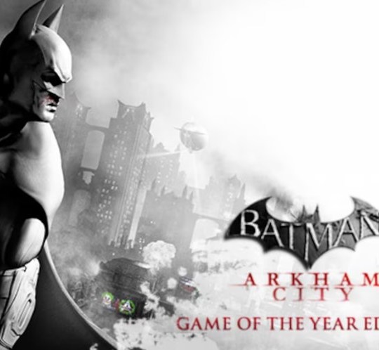 Batman Arkham City GOTY Edition 6
