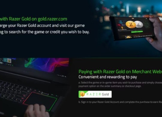 Razer Gold 100 USD 4