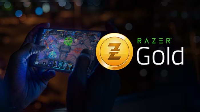 Razer Gold 5 USD 1