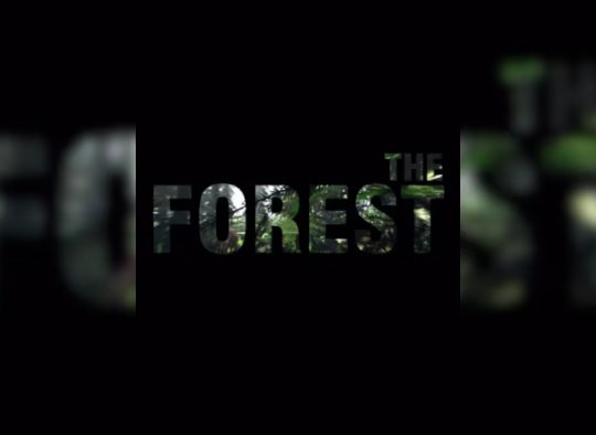 The Forest 2