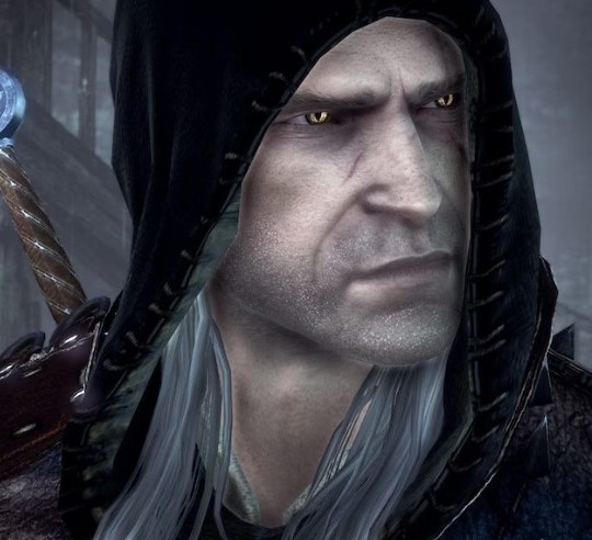 The Witcher 2 Assassins of Kings Enhanced Edition GOG.COM Key 8