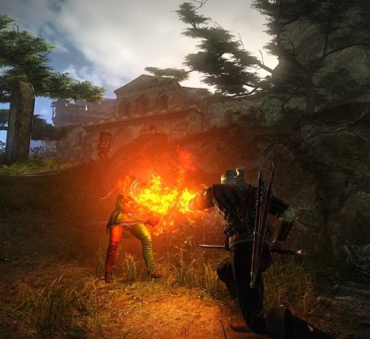 The Witcher 2 Assassins of Kings Enhanced Edition GOG.COM Key 9