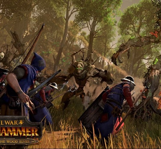 Total War WARHAMMER The Realm of the Wood Elves 2