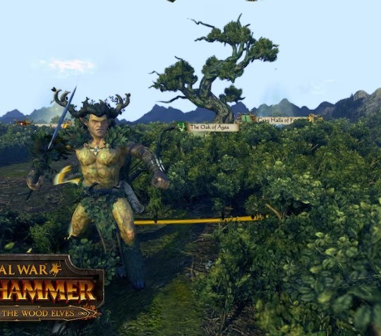 Total War WARHAMMER The Realm of the Wood Elves 3