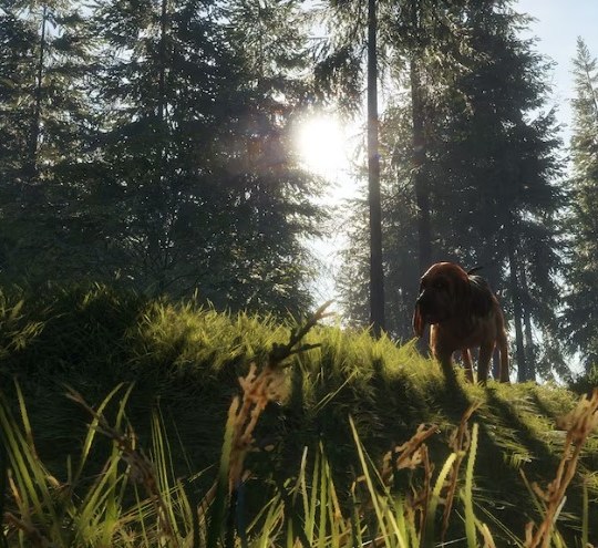 theHunter Call of the Wild Bloodhound PC 4