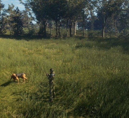 theHunter Call of the Wild Bloodhound PC 7