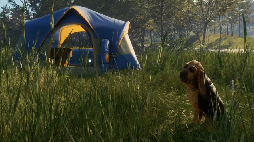 theHunter Call of the Wild Bloodhound PC 8