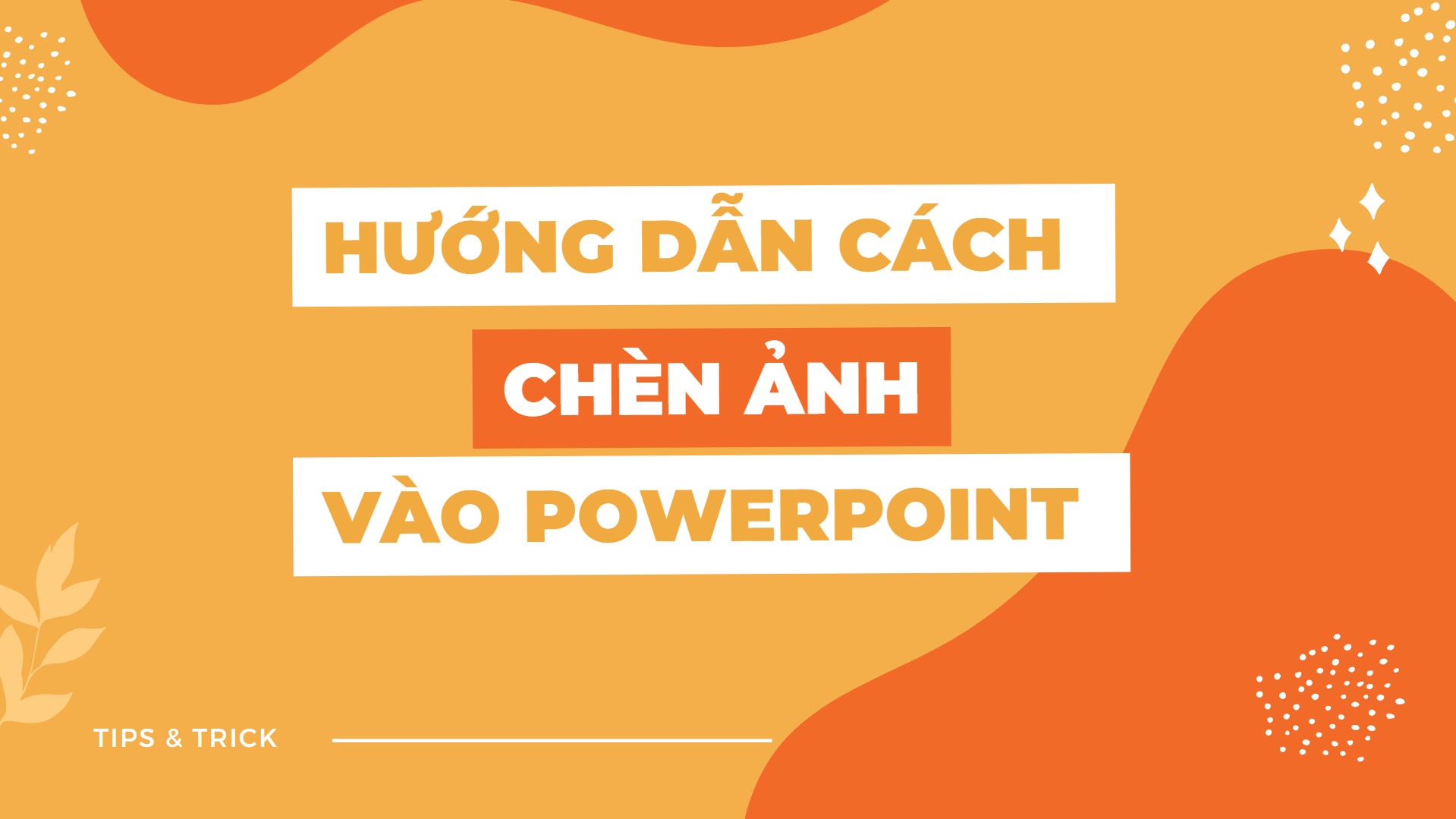 Hướng Dẫn Cách Chèn Ảnh Vào PowerPoint Đơn Giản Nhất