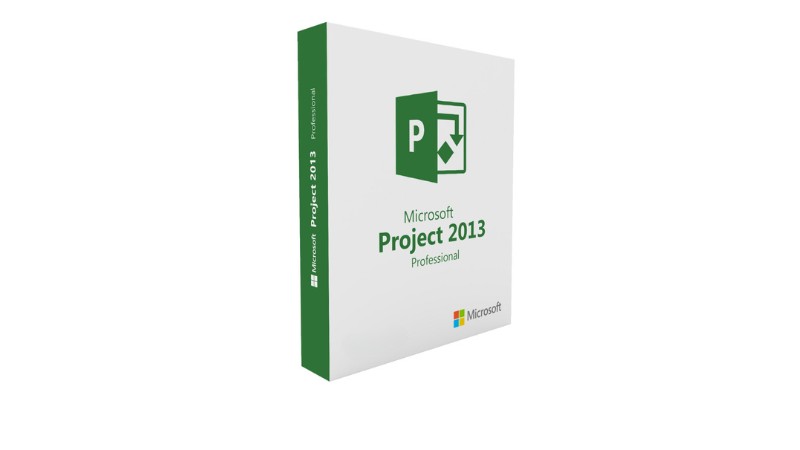 Project Professional 2013