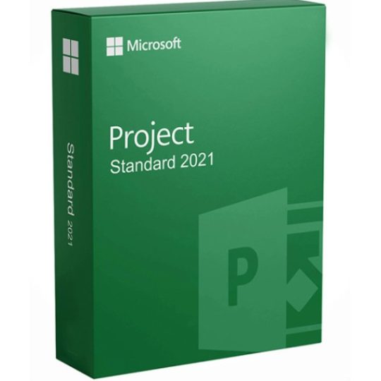 Project Standard 2021