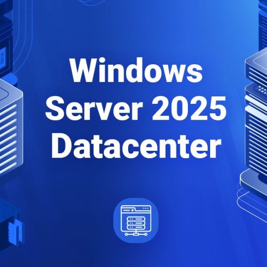 Windows Server 2025 Datacenter 1