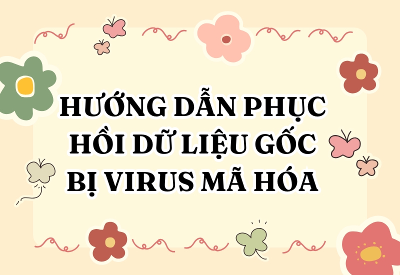 Hướng Dẫn Phục Hồi Dữ Liệu Gốc Bị Virus Mã Hóa – Đừng Để Dữ Liệu Quan Trọng Bị Đe Dọa