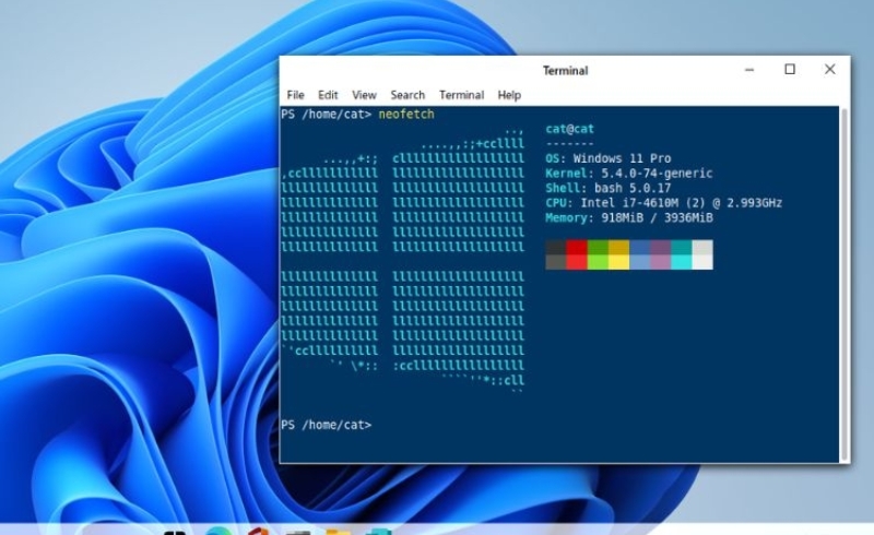 Kham pha tinh nang moi trong File Explorer tren Windows 11 6