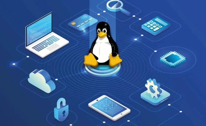 Làm thế nào để sử dụng Windows Subsystem for Linux trên Windows 11?